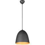 Trio Reality Leuchten Pendelleuchte Tilda schwarz-gold