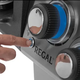 Broil King Regal 690 Gasgrill