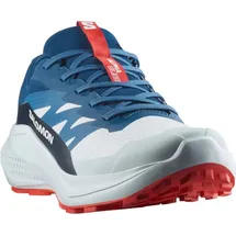 Salomon Herren Alphaglide Schuhe (Größe 43 , blau)