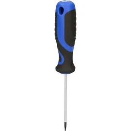 BRILLIANT TOOLS Torx-Schraubendreher T6