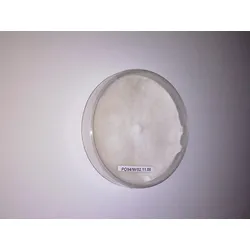 Pleurotus cornucopiae (Limonenpilz), Sorte PC97