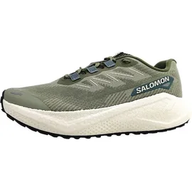 Salomon Aero Blaze 3 GRVL Herren Grün/Beige 45