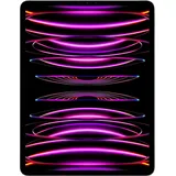 2 TB Wi-Fi + Cellular space grau