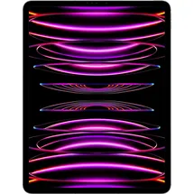 Apple iPad Pro 12,9" (6. Generation 2022) 2 TB Wi-Fi + Cellular space grau
