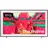 GQ85LS03FW 85" 4K Vision AI LS03FW (2025)