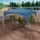 Woltu Faltpavillon 3 x 3 m Blau