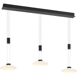 PAUL NEUHAUS Pendelleuchte "LAUTADA", schwarz, B:23cm, Lampen, LED, dimmbar, Simply Dim, Memory, nach Trennung vom Netz