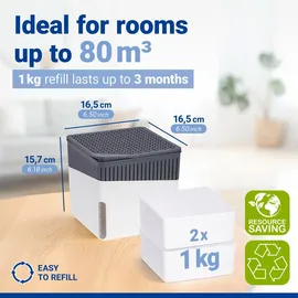 Wenko Raumentfeuchter Mod. Cube Weiß 2 x 1000 g - Weiß - WENKO