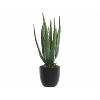 XXXLutz Kunstpflanze, Grün, Kunststoff, 35 cm, inkl. Topf, Dekoration, Blumen & Zubehör, Kunstpflanzen
