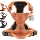 Freudentier Hundegeschirr mit Mesh-Polsterung - Höchster Komfort, bombenfester Sitz & maximale Sicherheit - Anti-Zug-Frontring - Brustgeschirr für große, mittelgroße und kleine Hunde (Orange, L)