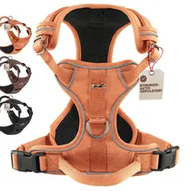 Freudentier Hundegeschirr mit Mesh-Polsterung - Höchster Komfort, bombenfester Sitz & maximale Sicherheit - Anti-Zug-Frontring - Brustgeschirr für große, mittelgroße und kleine Hunde (Orange, L)