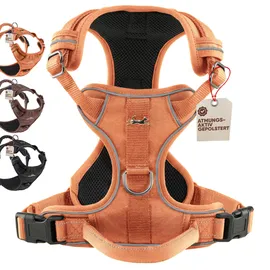 Freudentier Hundegeschirr mit Mesh-Polsterung - Höchster Komfort, bombenfester Sitz & maximale Sicherheit - Anti-Zug-Frontring - Brustgeschirr für große, mittelgroße und kleine Hunde (Orange, L)