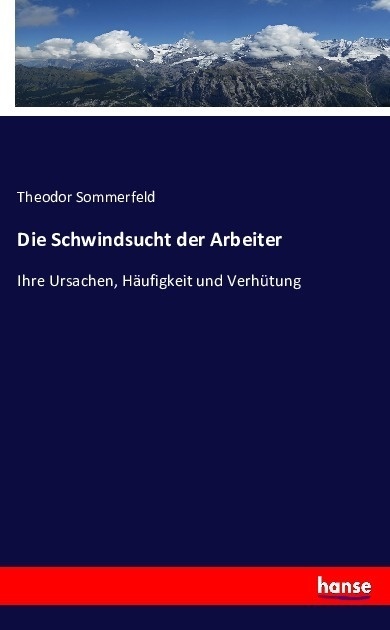 Die Schwindsucht Der Arbeiter - Theodor Sommerfeld  Kartoniert (TB)