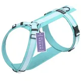 STUCH Geschirr Hund gepolstert türkis S