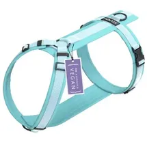 STUCH Geschirr Hund gepolstert türkis S