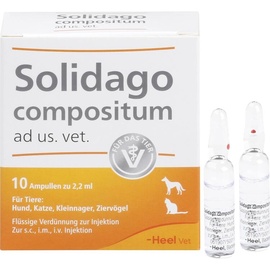 Heel Solidago Comositum ad us.vet. Ampullen 10 x 2,2 ml