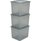 Iris Ohyama Aufbewahrungsbox 30 L 3-tlg. grau