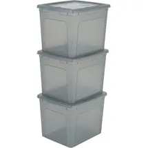 Iris Ohyama Aufbewahrungsbox 30 L 3-tlg. grau