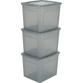 Iris Ohyama Aufbewahrungsbox 30 L 3-tlg. grau
