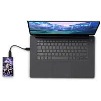 Seagate Game Drive for External SSD Genshin Imp (1 TB), Externe SSD, Violett