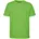 lime M