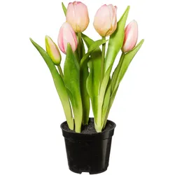 Kunstpflanze Tulpe I in Grün/Rosa