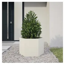 vidaXL Pflanzkübel Sechseckig 69 x 60 x 45 cm Weiß