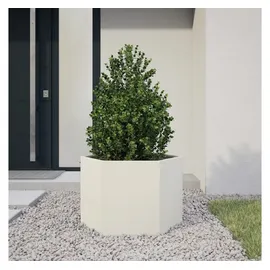 vidaXL Pflanzkübel Sechseckig 69 x 60 x 45 cm Weiß
