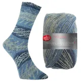 theofeel Pro Lana Fjord Socks Farbe 197, Sockenwolle musterbildend, Wolle Norwegermuster zum Stricken, 100g,