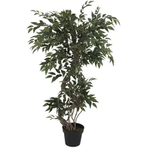 Europalms Ficus Multi Spiralstamm, 130cm