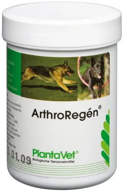 ArthroRegén® Tabletten 160 Tabletten