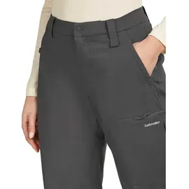 Icebreaker Merino Elevation Stretch Hosen Grau 30