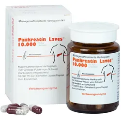 Pankreatin Laves 10.000 Ph.Eur-Einheiten 50 St