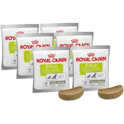 ROYAL CANIN Nutritional Supplement Educ 6x50g