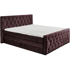 ed-lifestyle Cashfield 8 180 x 200 cm H2 Aubergine