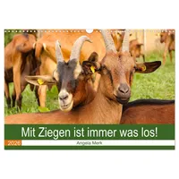 Calvendo Mit Ziegen ist immer was los! (Wandkalender 2026
