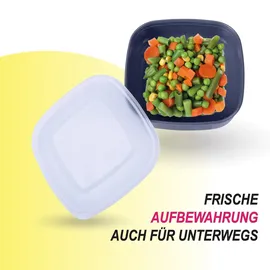 Pro Home Frischhaltedose eckig grau 19 cm x 19 cm x 7 cm 3-teiliges Set 0,5 l - 1,5 l