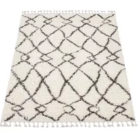 Paco Home Hochflor Teppich Wohnzimmer Shaggy Skandinavisch Fransen Flauschig