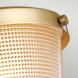 Elstead Lighting Dublin 1 E27 Lackiertes Naturmessing IP44