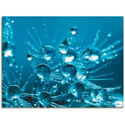 Leinwandbild ARTLAND "Glitzernde Pusteblume II", blau, B:80cm H:60cm, Canvas, Leinwand, Bilder, auf Keilrahmen gespannt