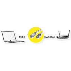 ROLINE USB 3.2 Gen 2 Typ C zu Gigabit Ethernet Konverterkabel, schwarz, 3 m