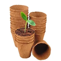 Anzuchttopf 6 cm 24er Set
