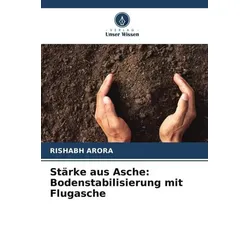 Stärke aus Asche: Bodenstabilisierung mit Flugasche