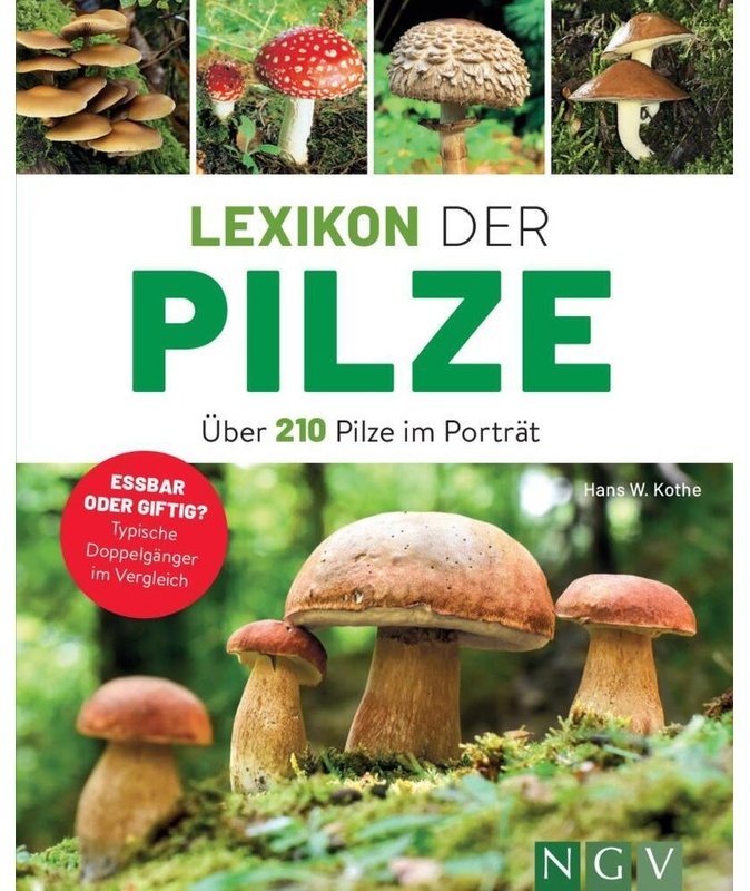 Lexikon Der Pilze - Über 210 Pilze Im Porträt - Hans W. Kothe, Kartoniert (TB)