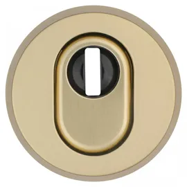 ABUS Schutzrosette RHZS415 F3 grau