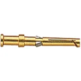 Harting Kontaktbuchse 09150006221