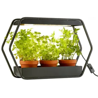 NORTHPOINT Design LED Pflanzenlampe Pflanzenleuchte Kräutergarten Innengarten Gewächslampe Metallgestell 14W 1000 Lumen Timer Industrial-Look
