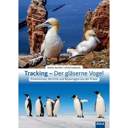 Tracking – Der gläserne Vogel