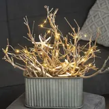 MARELIDA LED Drahtlichterkette Tautropfen - 20 warmweiße LED - silberner Draht - L: 1,9m ...