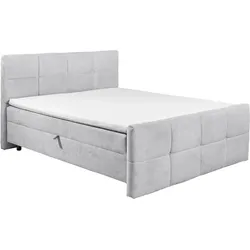 ED LIFESTYLE Boxbett TIJUANA